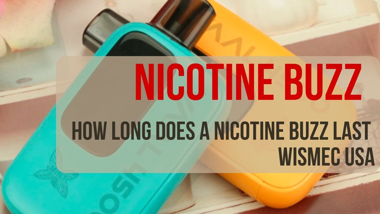 how long does a nicotine buzz last by wismec usa vape shop